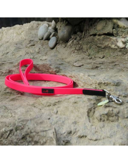 Pink - Boss Regular Leash - 3/4" x 6'