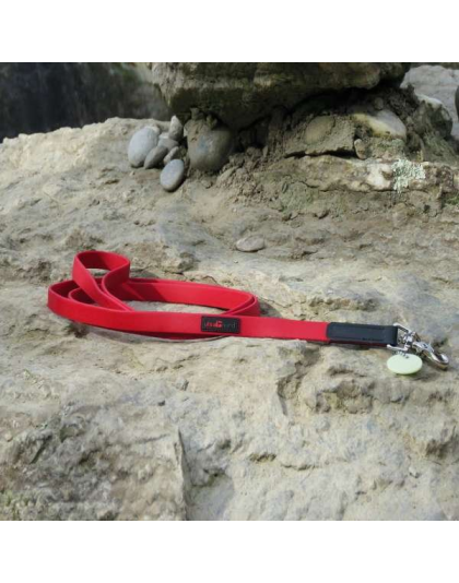 Red - Boss Regular Leash - 3/4" x 6'