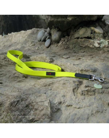 Yellow - Boss Regular Leash - 5/8" x 6'