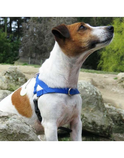 Red - Freedom Harness - Large to 130 lbs.