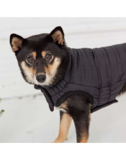 Black - GF Pet Reversible Elasto-Fit Chalet Jacket - XS