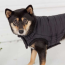 Black - GF Pet Reversible Elasto-Fit Chalet Jacket - Small