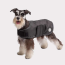 Black - GF Pet Dog Blanket Jacket - Large