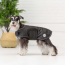 Black - GF Pet Dog Blanket Jacket - Large