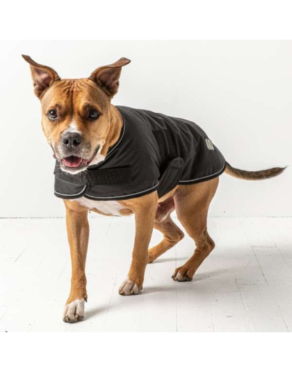 Black - GF Pet Dog Blanket Jacket - Large