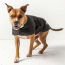 Black - GF Pet Dog Blanket Jacket - Medium