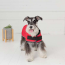 Red - GF Pet Dog Blanket Jacket - 2XL