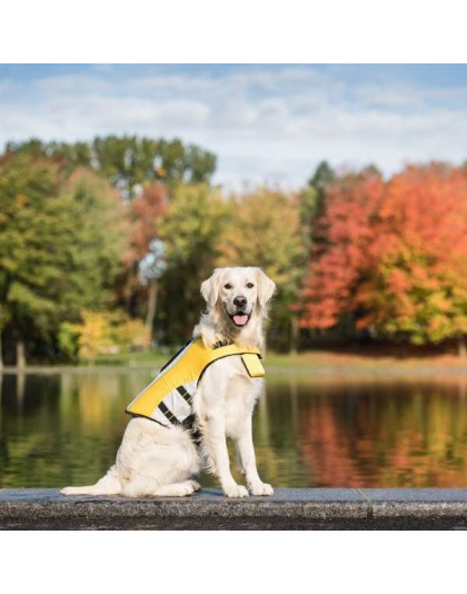 Yellow - GF Pet Life Vest  - XL