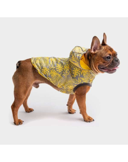 Yellow - GF Pet Reversible ElastoFit Raincoat  - 2XS