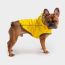 Yellow - GF Pet Reversible ElastoFit Raincoat  - XS