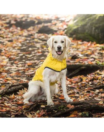 Yellow - GF Pet Reversible ElastoFit Raincoat  - Small