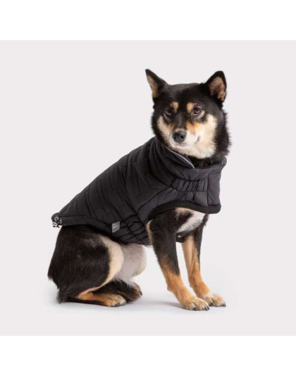 Black - GF Pet Reversible Elasto-Fit Chalet Jacket - XS