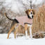 Pink - GF Pet Reversible Elasto-Fit Chalet Jacket - XS