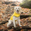 Yellow - GF Pet Reversible ElastoFit Raincoat  - 2XS