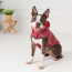 Red - GF Pet Reversible ElastoFit Raincoat  - Small