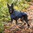 Navy - GF Pet Reversible ElastoFit Raincoat  - 2XS