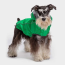 Green - GF Pet Reversible ElastoFit Raincoat  - XS