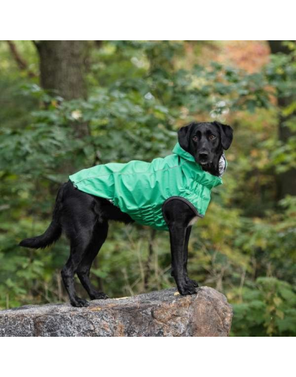 Green - GF Pet Reversible ElastoFit Raincoat  - XS