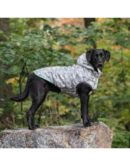 Green - GF Pet Reversible ElastoFit Raincoat  - XS