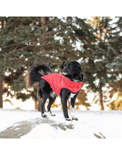 Red - GF Pet Reversible ElastoFit Chalet Jacket - XS