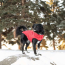 Red - GF Pet Reversible ElastoFit Chalet Jacket - XS