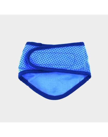 Blue - GF Pet  Ice Band   - XS