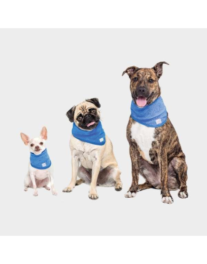 Blue - GF Pet  Ice Band   - XS