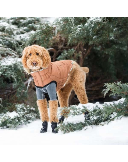 Caramel - GF Pet ElastoFit Urban Dog Parka  - XS