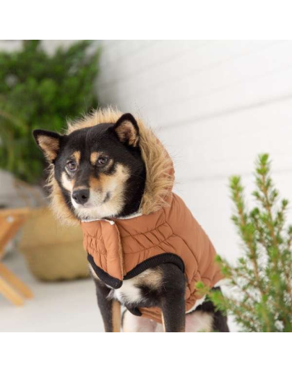 Caramel - GF Pet ElastoFit Urban Dog Parka  - XS