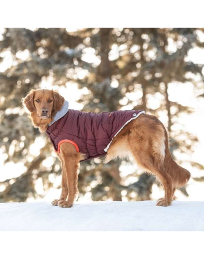 Burgundy - GF Pet  Winter Sailor Parka  - 2XS