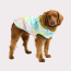 Neon Yellow - GF Pet Reversible Raincoat  - XS